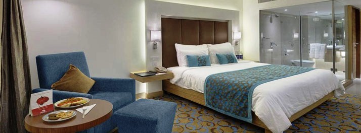 293/The Pride Hotel - Ahmedabad 09.jpg